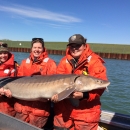 Three biologists hold a large lake sturgeon