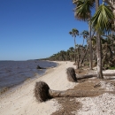 Area of St. Vincent NWR affectionately known as Tahiti Beach.