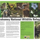 An image of the refuge tear sheet.