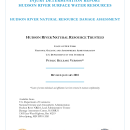 Hudson River Surface Water Injury Determination Report