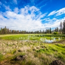 A small perennial wetland