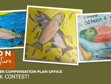 A photo collage of three drawings of salmon with the text "Salmon for the future, Lower Snake River Compensation Plan Office K-12 Artwork Contest!