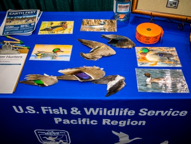 A duck wing identification program as part of an outreach event