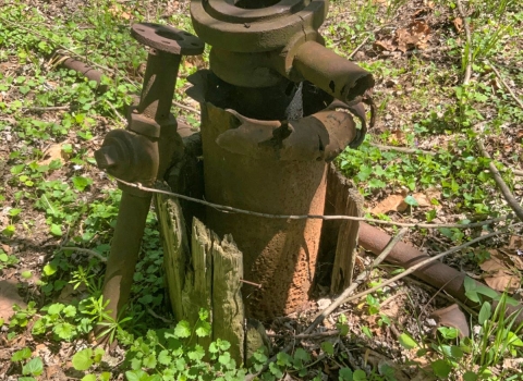 An orphaned well, a thick metal cylinder with a hole in the top, outside in a patch of plants