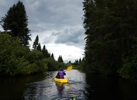 A bright yellow kayak glides through on a glass-smooth river surrounded by towering evergreen trees. In the distance ominous clouds hover in a clearing sky on the horizon. 