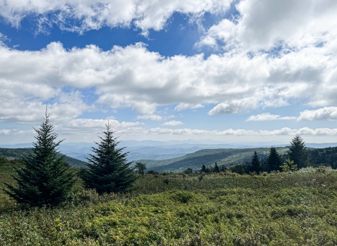 Rolling mountains with conifer trees and a partly cloudy sky
