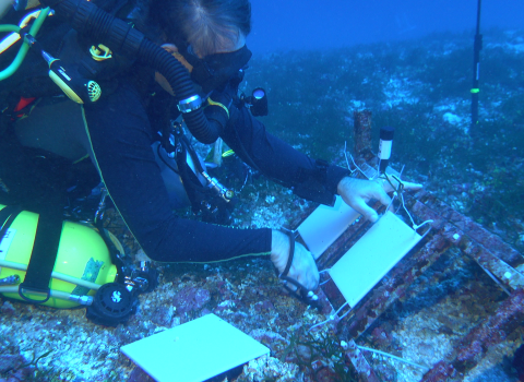 Anthony Montgomery, a marine biologist with the U.S. Fish and Wildlife Service lays out plates used to collect marine cryptobiota, cryptic invertebrates that serve as building blocks for coral, long the ocean floor. 