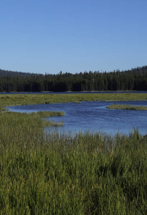 Deschutes River Basin