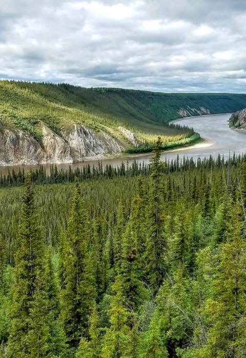 Landscape with green trees, bluffs, and a river