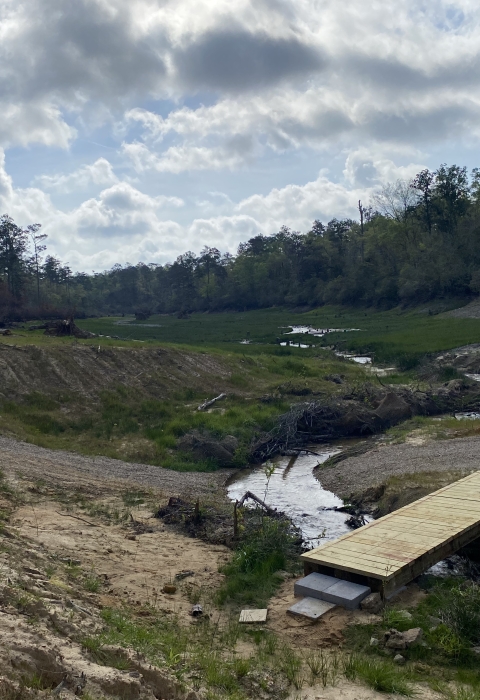 A wooden bridge across a meandering stream.