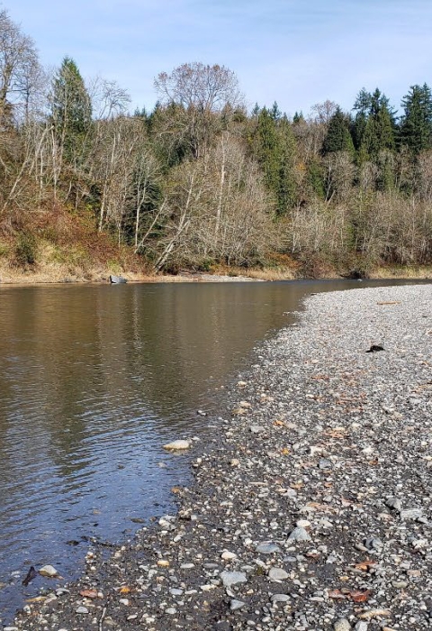 Stillaguamish Tribal land along the North Fork of the Stillaguamish River in the Trafton Reach, Snohomish County, Washington State.