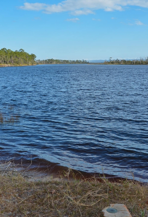 Ochlockonee River waterfront