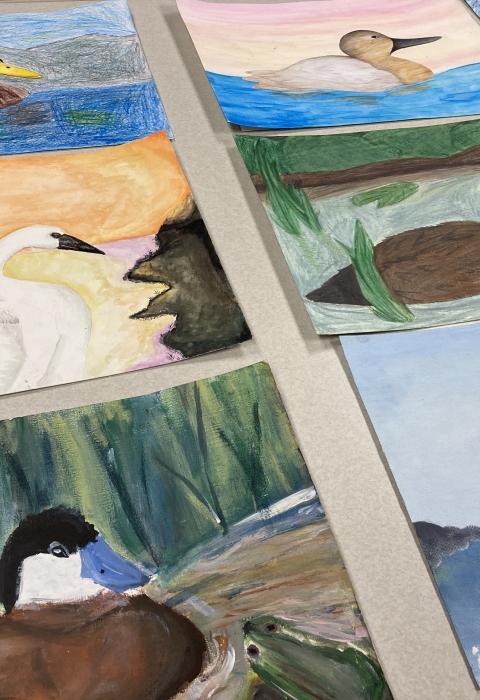 An image of eight pieces of artwork on a plain white table. The art depicts different duck and swan species.
