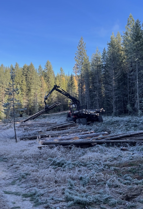 Heavy equipment harvests timber on a wildlife refuge