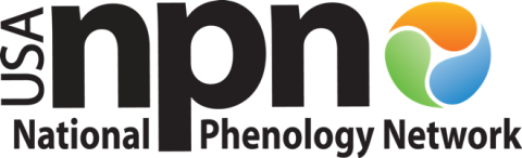 USA National Phenology Network Logo USA National Phenology Network Logo