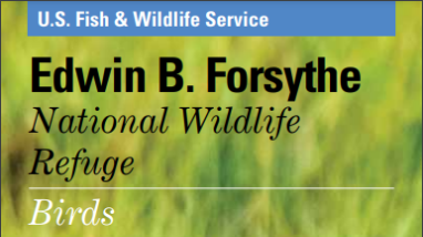 Edwin B. Forsythe Bird Brochure