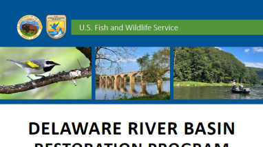 image of the front cover of a report, featuring various photos of people paddling and fishing on a river and of wildlife, including a turtle, bumblebee, and warbler