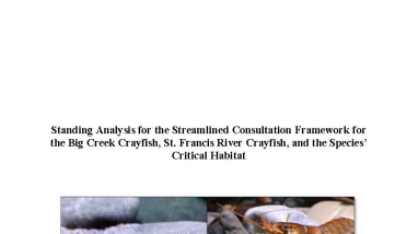 Thumbnail of Standing Analysis
