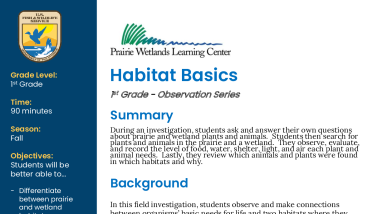 1st Grade Fall Habitat Basics