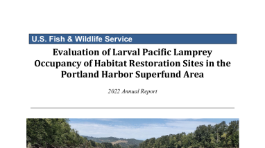 Evaluation of Larval Pacific Lamprey Occupancy of Habitat Restoration Sites in the Portland Harbor Superfund Area