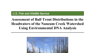 Assessment of Bull Trout distributions in the headwaters of the Naneum Creek watershed using environmental DNA analysis