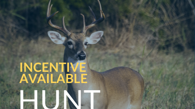 Lead-free Ammunition Pilot Program Flyer for Pocosin Lakes NWR