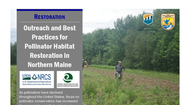 Best Practices for Pollinator Habitat Restoration Handout