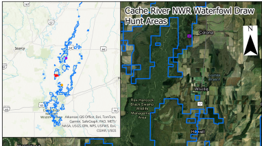 Cache River NWR - Waterfowl Hunt Area Map 