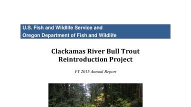 Clackamas River Bull Trout Reintroduction Project FY 2015 Annual Report