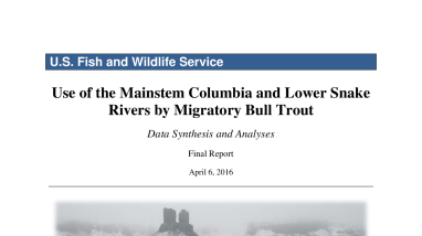 Use of the Mainstem Columbia and Lower Snake Rivers by Migratory Bull Trout- Data Synthesis and Analyses