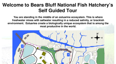 Bears Bluff NFH Map