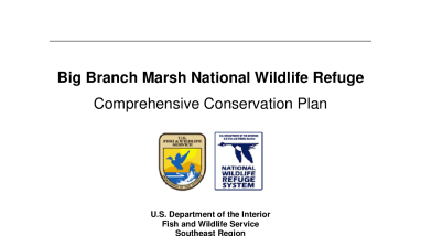Big Branch Marsh National Wildlife Refuge Comprehensive Conservation Plan