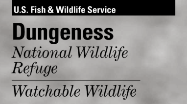 Dungeness NWR Watchable Wildlife Checklist