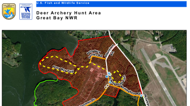 Great Bay Archery Deer Hunt.pdf