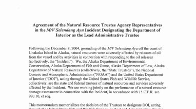 II.A.1 Agreement of the Natural Resource Trustee Agency Representatives in the M/V Selendang Ayu Incident Designating the Department of Interior as the Lead Administrative Trustee