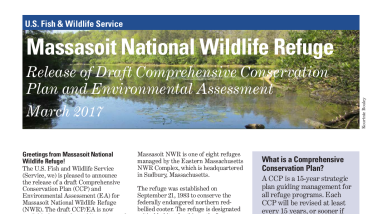 Massasoit Newsletter Draft Plan
