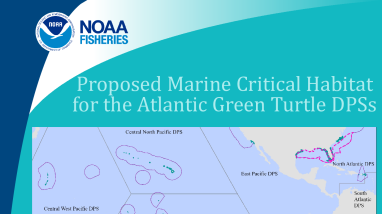 NOAA Fisheries Atlantic Critical Habitat