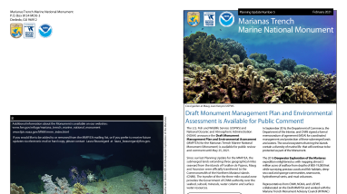 Planning Update 5 - (February 2021)