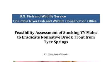 Feasibility Assessment of Stocking YY Males to Eradicate Nonnative Brook Trout from Tyee Springs