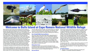 Cape Romain NWR Bulls Island