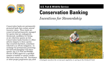 Conservation Banking: Incentives for Stewardship