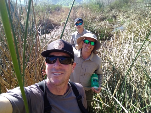 Three men in tall grass