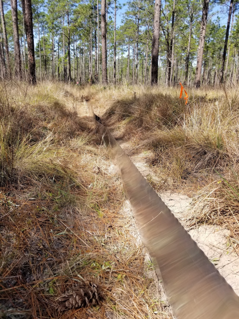 A mesh fence extends into a forested area