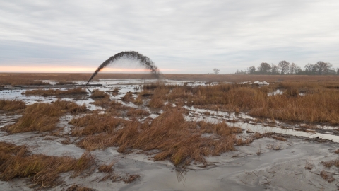 Blackwater National Wildlife Refuge Using Thin Layering Technique