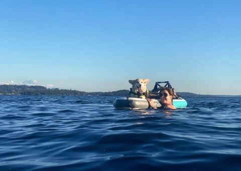 A paddleboard in water with a small dog on top and a woman wearing sunglasses in the water smiling next to it.