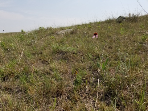 WPA Hillside