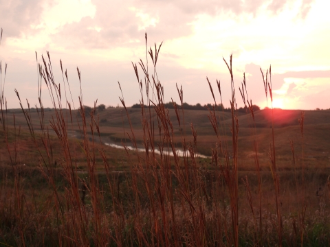 The sun is peeking up behind the skyline. The camera is focused on some big bluestem grasses in the foreground with a valley in the background. There is a wetland in the bottom of the valley. 