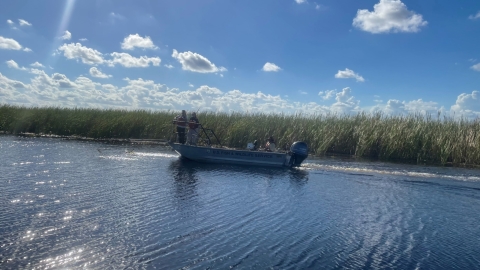 Fish Collecting at Artur R. Marshall Loxahatchee National Wildlife Refuge 