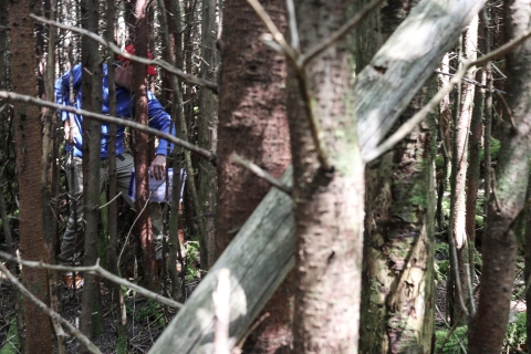 Person walking through an exceptionally dense forest