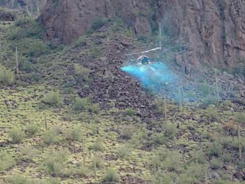 Image of a helicopter spraying buffelgrass with herbicide